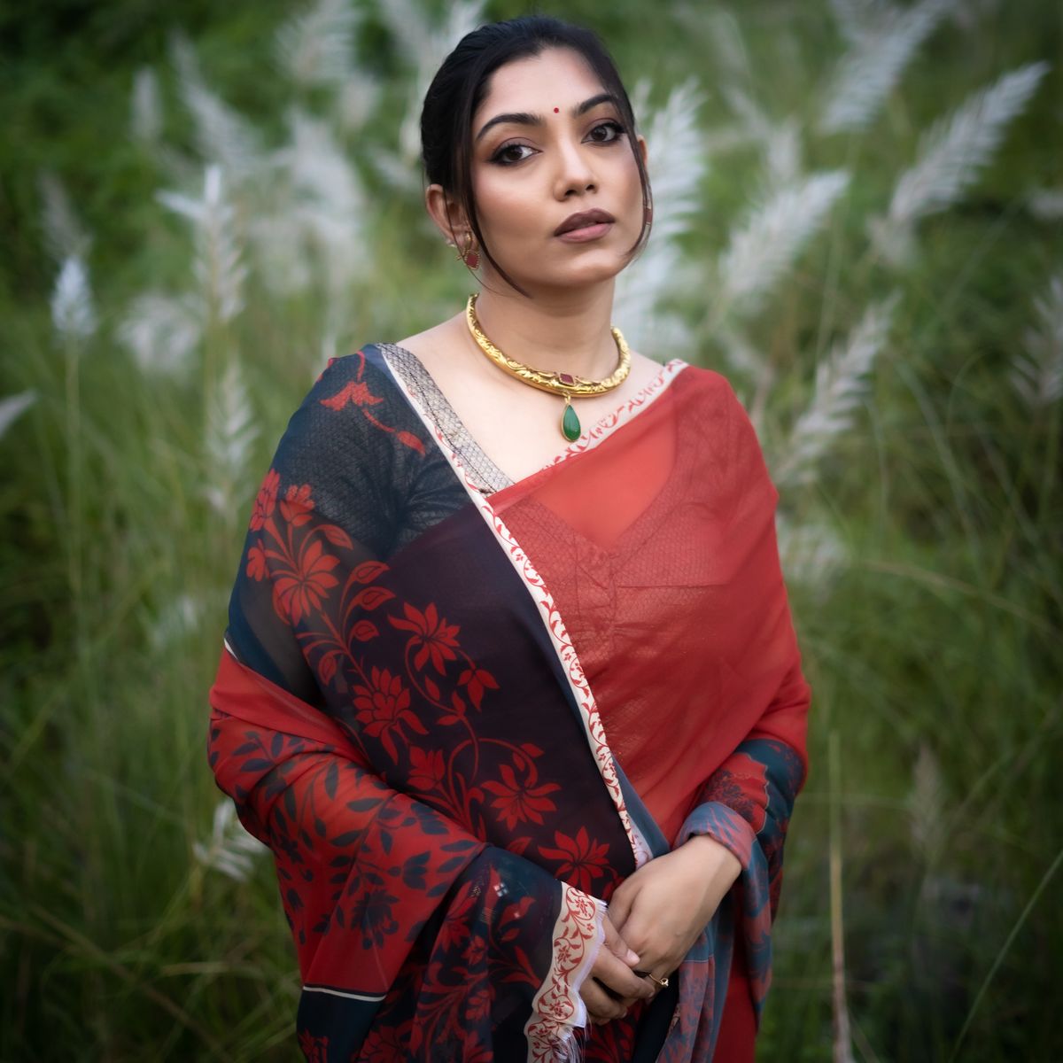 Regal moonson saree